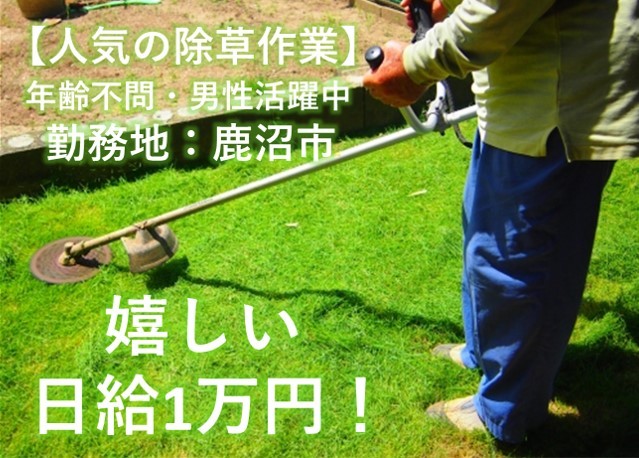 【鹿沼市】日給1万円!人気の短期・除草作業のお仕事>